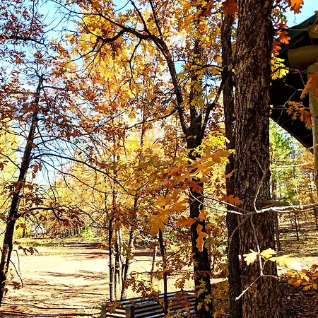 Cozy Cub Log Cabin - Year Round Tranquil Beauty