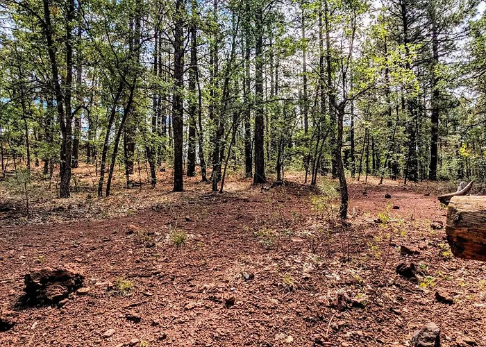Charming Log In Tall Pines W Large Deck * Pinetop-Lakeside